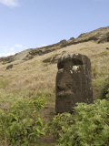 Moai Quarry, Rano Raraku Volcano, Unesco World Heritage Site, Easter Island (Rapa Nui), Chile