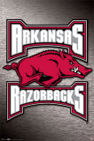 Arkansas Razorbacks