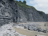 Sedimentary Rocks, Blue Lias, Shale-Limestone Sequences, Jurassic Coast Photographic Print