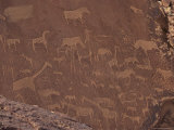 Etchings on Sandstone, 6000 Years Old, Finest Rock Art in Africa, Damaraland, Namibia