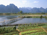 Bamboo Bridge, Vang Vieng, Laos, Indochina, Southeast Asia