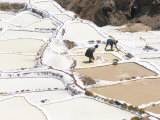Inca Salt Pans Below Salt Spring, Salineras De Maras, Sacred Valley, Cuzco Region (Urabamba), Peru