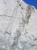 Buy The World's Longest Dinosaur Tracks, Cretaceous Titanosaurus, Near Sucre, Bolivia, South America at AllPosters.com