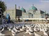 Buy People Feeding the Famous White Pigeons, Mazar-I-Sharif, Afghanistan at AllPosters.com