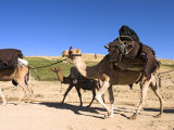 Woman Sitting on Top of Camel, Kuchie Nomad Camel Train, Between Chakhcharan and Jam, Afghanistan