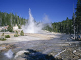 Buy Echinus Geyser, Erupts Every Hour in Norris Basin, Yellowstone National Park, Wyoming at AllPosters.com