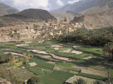 Traditional Jabali Village with Palmery in Basin in Jabal Akhdar, Bilad Sayt, Oman, Middle East