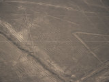 Spider, Nazca (Nasca) Lines, Unesco World Heritage Site, Peru, South America