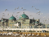 The Famous White Pigeons, Shrine of Hazrat Ali, Mazar-I-Sharif, Balkh Province, Afghanistan
