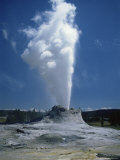 Geyser, Yellowstone National Park, Unesco World Heritage Site, Wyoming, USA