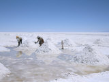 Hand-Working in Colchani Salt Pans, Salar De Uyuni, Salt Flat, Southwest Highlands, Bolivia