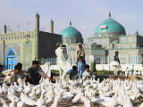 People Feeding Famous White Pigeons at Shrine of Hazrat Ali, Mazar-I-Sharif, Afghanistan