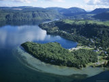 Local Lakes Surrounded by Forests and Giant Ferns, Rotorua, South Auckland, New Zealand