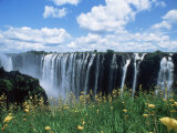 Flowers in Bloom with the Victoria Falls Behind, Unesco World Heritage Site, Zambia, Africa