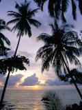 Sunset Framed by Palms, Patong, Phuket, Thailand, Southeast Asia, Aisa