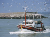 Fishing Boat Returning from Fishing, Deauville, Normandy, France