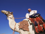 Bedouin Riding Camel, Sinai, Egypt, North Africa, Africa