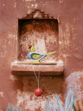 Decorative Child's Toy Parrot in Traditional Wall Niche, Ahmedabad, India
