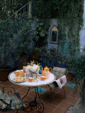 Secluded Private Courtyard of a New Build House, New Delhi, India