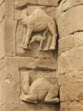 Temple of Allat, Hatra, Unesco World Heritage Site, Iraq, Middle East