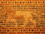 Buy Lion, Babylon, Iraq, Middle East at AllPosters.com