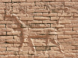 Moshushu, Babylon, Iraq, Middle East
