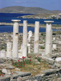 Archaeological Site, Delos, Unesco World Heritage Site, Greece