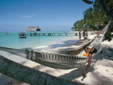 Hammock on the Beach, Tobago, West Indies, Caribbean, Central America