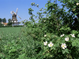 Buy Egeskov Mill, Funen, Denmark, Scandinavia at AllPosters.com