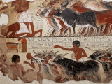 Fragment of a Tomb Painting Dating from Around 1400 BC from Thebes, Egypt, North Africa, Africa