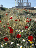 Buy Temple of Poseidon, Sounion (Sounio), Greece at AllPosters.com