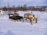 Southern Lapp with Reindeer Sledge, Roros, Norway, Scandinavia