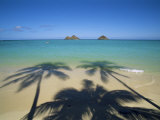 Buy Lanikai Beach, Oahu, Hawaii, Hawaiian Islands, USA at AllPosters.com