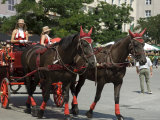 Buy Horse and Carriages in Main Market Square, Old Town District, Krakow, Poland at AllPosters.com