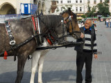 Buy Horse and Carriage in Main Market Square, Old Town District, Krakow, Poland at AllPosters.com