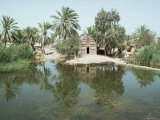 Suk-Esh-Shiukh Village, Marshes, Iraq, Middle East