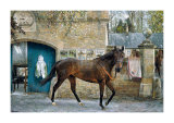 Buy Attraction at AllPosters.com