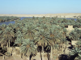 Looking North to Qa'Lat'Ana, Iraq, Middle East