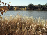 Autumn, Ana, on the River Euphrates, Iraq, Middle East