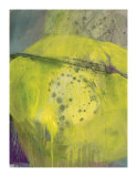 Buy Abstracted Nature XVII at AllPosters.com