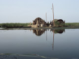 Reed Houses and Boat, Marshes, Iraq, Middle East
