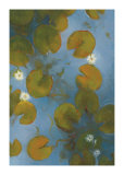 Buy Blue Pool II at AllPosters.com