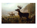 A Tempting Shot, 1873