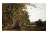 Buy Windsor Woods at AllPosters.com