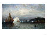 Buy Coast of Labrador at AllPosters.com