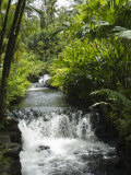 Tabacon Hot Springs, Volcanic Hot Springs Fed from the Arenal Volcano, Arenal, Costa Rica