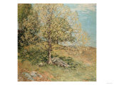 Budding Oak, 1906