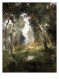 Buy Forest Glade, Santa Barbara, 1918 at AllPosters.com