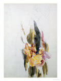 Buy Iris at AllPosters.com