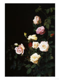 Buy Roses, 1875 at AllPosters.com